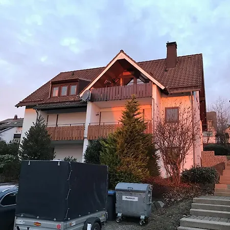 Nordsternchen * Winterberg