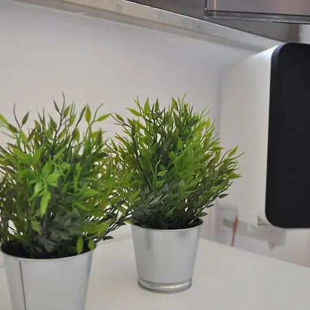 Lägenhet Nordsternchen *