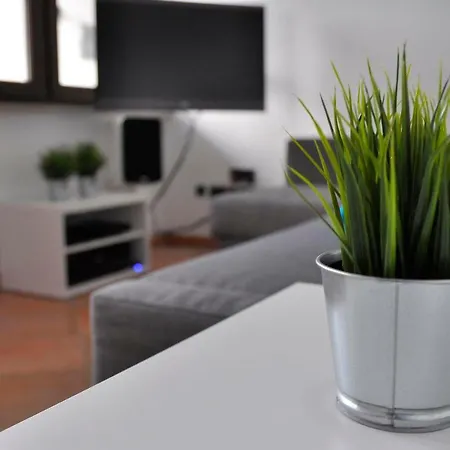 Nordsternchen * Winterberg