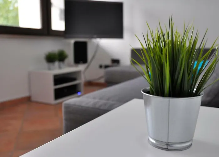 Nordsternchen * Winterberg